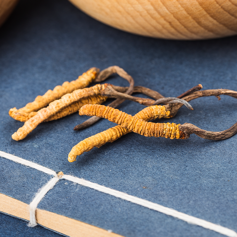 Cordyceps: The Mushroom of Energy and Vitality