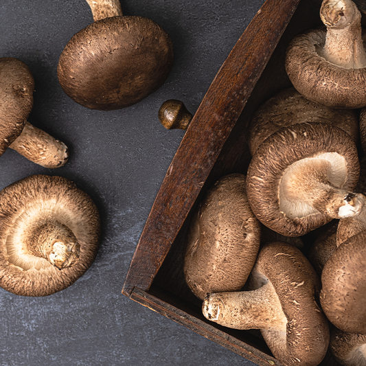 Shiitake Mushroom: The Flavorful Superfood with Health Benefits