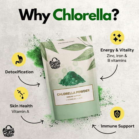 Chlorella Powder