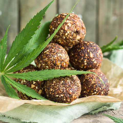 protein balls and hemp leaves 